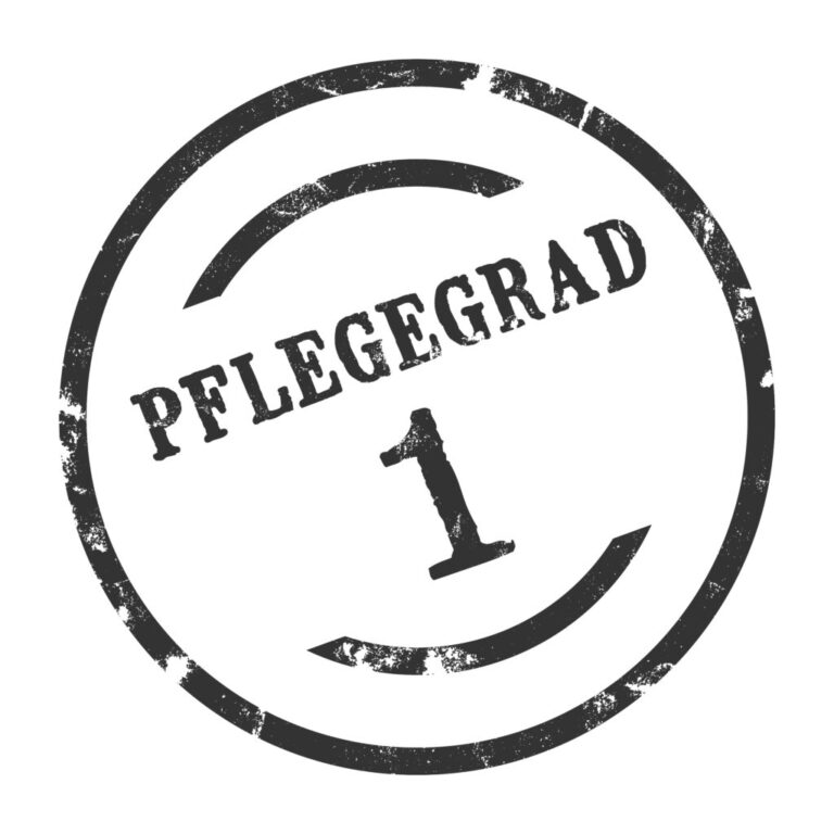 Infografik Pflegegrad 1 – Voraussetzungen und Leistungen im Überblick